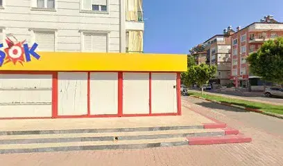 Şok