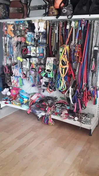 Şımarık Pet Shop - Photo 4
