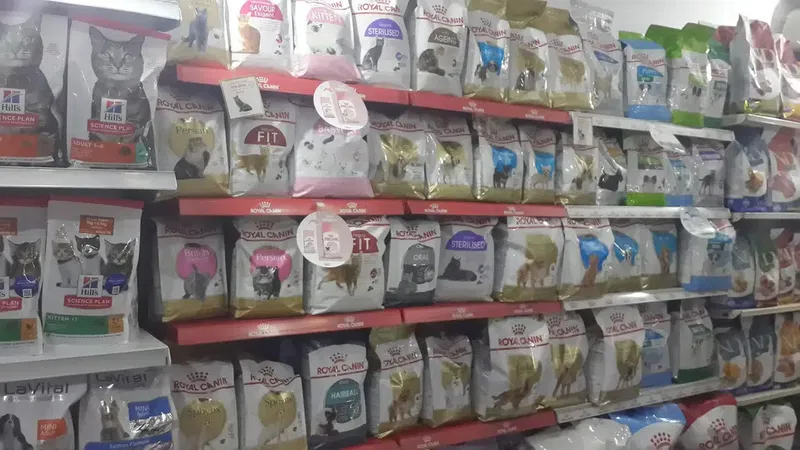 Şımarık Pet Shop - Photo 6