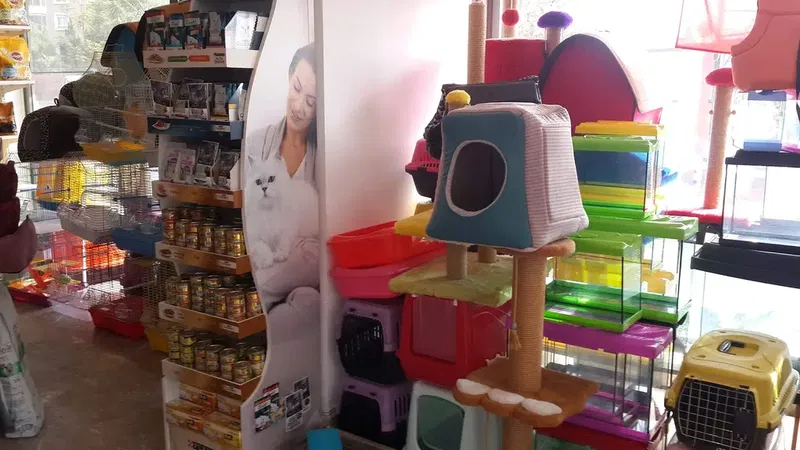 Şımarık Pet Shop - Photo 10