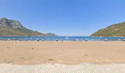 Место гнездования морских черепах каретта