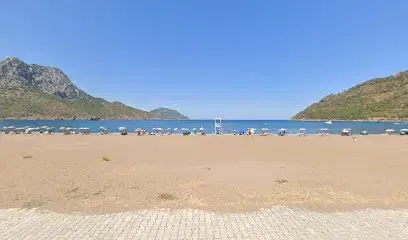 Место гнездования морских черепах каретта - Photo 1