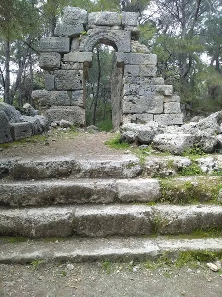 Мун Лайт - Photo 9