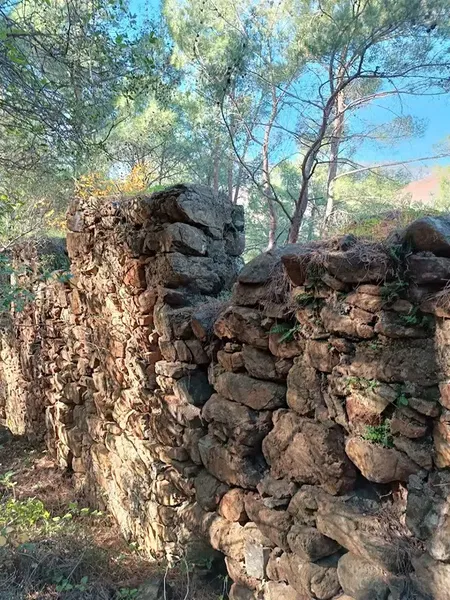 Развалины старой крепости - Photo 3