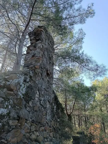 Развалины старой крепости - Photo 5
