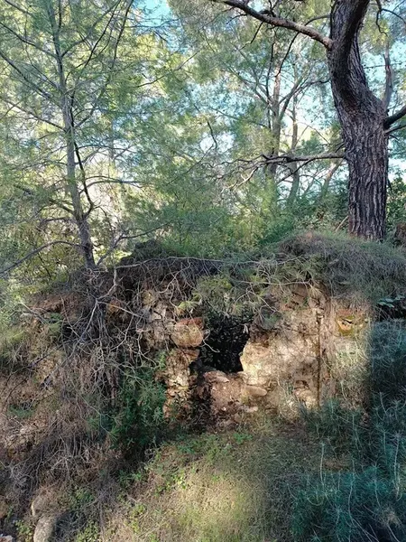 Развалины старой крепости - Photo 7